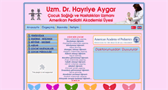 Desktop Screenshot of hayriyeaygar.com